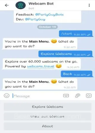 Webcam Bot preview 2