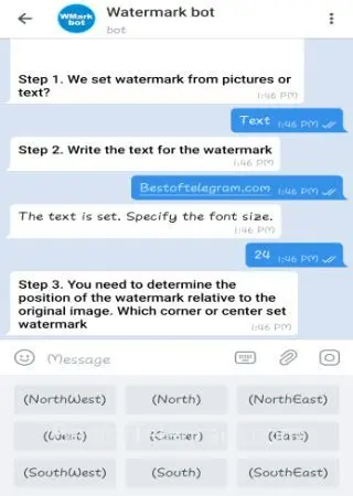 Watermark bot preview 2