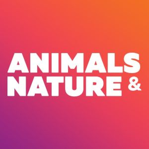 Animals & Nature