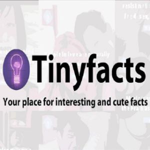 Tiny Facts