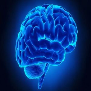 Psychology Videos Mind Tricks