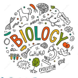 Biology notes for Neet