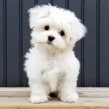 Cute and Fun Videos 🥰 channel