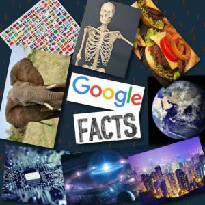 Google Facts™