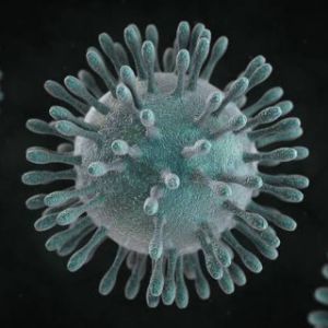 PH Coronavirus Updates