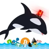 Whale Alert channel