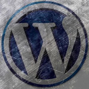 WordPressThemes & Plugins