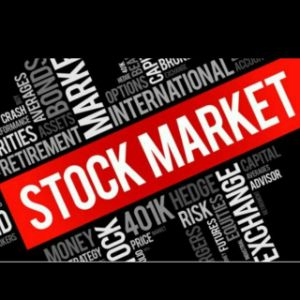 Indian Stock Market (ISM) Free Learning