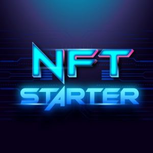 NFT-Starter Community