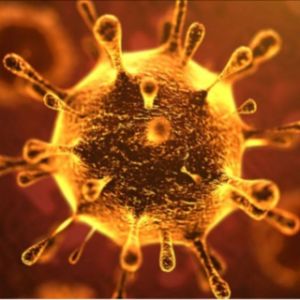 Coronavirus Discussion