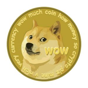 Dogecoin Investors Forum