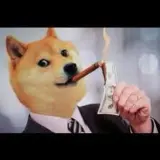 Free Doge Everyday group
