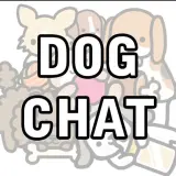 Dog Chat 2.0