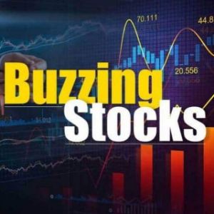 Stock Market Traders 
