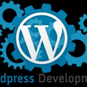 WordPress Developers
