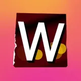 WordPress Developers