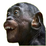 Sticker 78