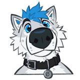 Kiro Husky