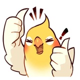 Sticker 40