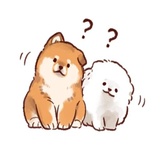 Sticker 37