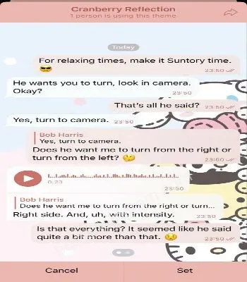 Cranberry Reflection preview