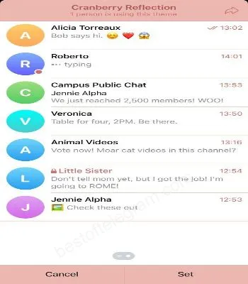 Cranberry Reflection preview