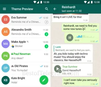 WhatsApp Theme preview
